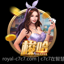 c7c7在智慧城市建设中的角色